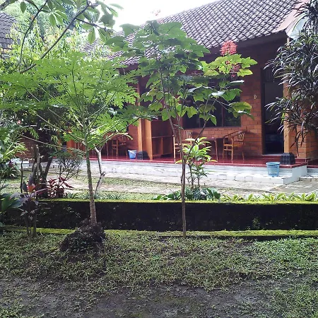 Madra Homestay